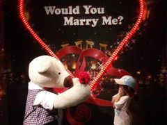 -济州岛泰迪熊博物馆