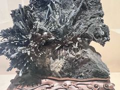 -安徽省地质博物馆