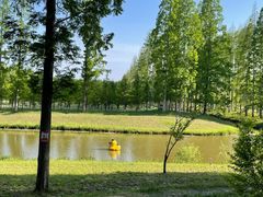 -黄海国家森林公园