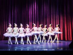 -西安小天鹅艺术团(金花路校区)