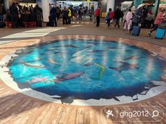 -纽瓦克自由国际机场