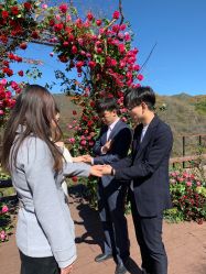 -美薇亭婚礼顾问