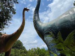 -森波拉奇妙世界