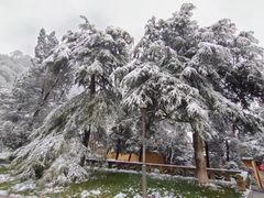 -缙云山景区