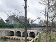 -松山湖南湖湾露营营地