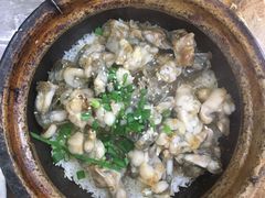 -红星光发煲仔饭(大石街店)