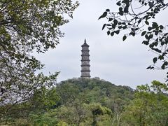 -巢湖姥山岛