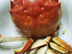 -七的湖·晚芳亭·阳澄湖农家菜·大闸蟹(莲花岛店)