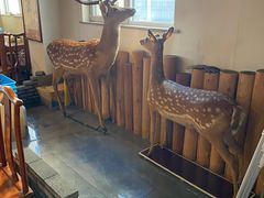 大堂-竹叶涮肉坊(总店)