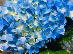 -何兮花店·气球派对鲜花店(马桥银春路万科城店)