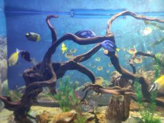 -烟台海昌鲸鲨海洋公园