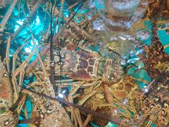 -金翠皇宫粤菜·点心·海鲜(科技园店)