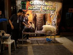 -清迈夜间动物园