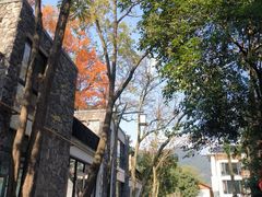-黄公望隐居地