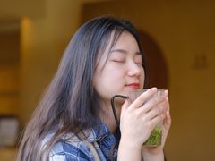 -白茶原·一片叶子