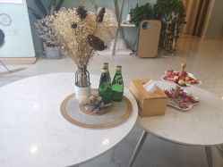 -至臻康妍健康管理中心