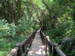 -秦岭终南山世界地质公园翠华山景区