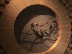 -Dragonfly悠庭·按摩Spa(静安嘉里中心店)
