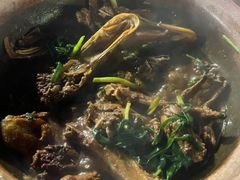 -霞姐屯昌枫木香草鸭店(海螺店)