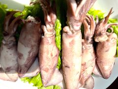 -鸿运美食府