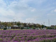 -嘉北郊野公园