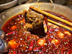 -小龙坎火锅(双林店)