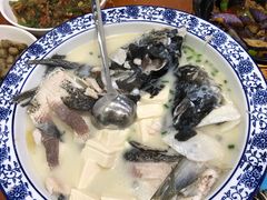 -全乐鱼馆·淳牌有机鱼直营店