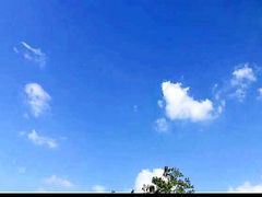 -呼吸森林·生态农庄农家乐私房菜