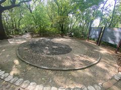 -上海佘山国家森林公园天马山园