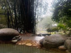 -三江森林温泉度假区