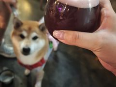 -跳海酒馆(江湾里店)