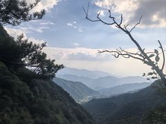 -王顺山国家森林公园