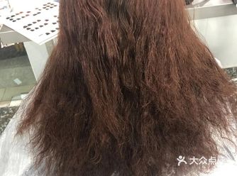 项目   蛋白矫正    一个沙发该怎么办