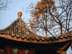 -重庆彩云湖湿地公园