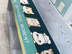 -纳吉亚猫专科动物医院·北北分院