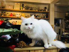 -小时光咖啡馆(北锣鼓巷店)
