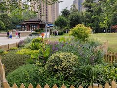 -塔子山公园