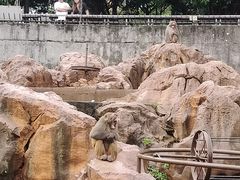 -昆明动物园