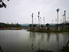 -枫香湖儿童公园