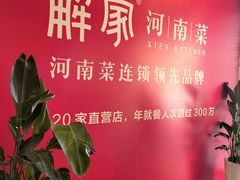 -解家河南菜(商鼎路店)