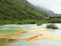 -黄龙山原始森林景区