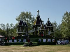 -荷兰花海