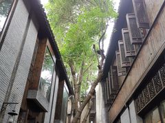 -通安客栈中餐厅·何家小馆