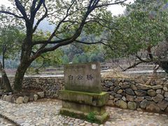 -鹿亭中村