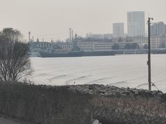 -上海滨江森林公园