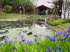 -石湖景区