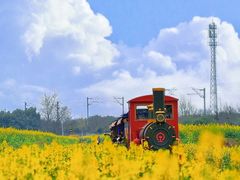 -桤木河湿地公园