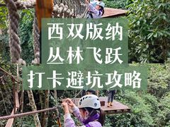 -西双版纳原始森林公园