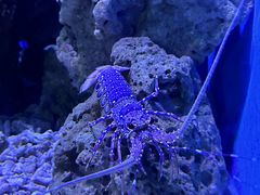 -大连老虎滩海洋公园