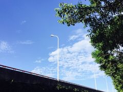 -百春原湖南牛肉粉(百联世纪店)